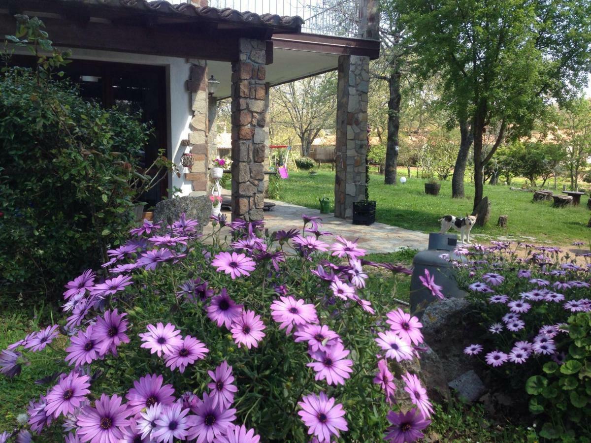 Agriturismo Pranu Sorgono Bagian luar foto